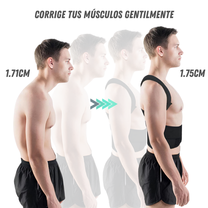 Corrector de Postura ALINEX™